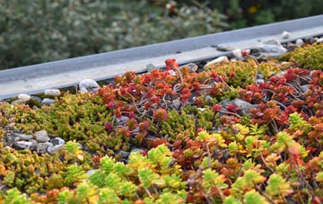 the cost of Lower Todding green roof installation