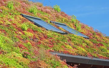 Lower Todding living roof systems
